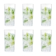 Tonic Highball Glass Set of 6 Size 330ml by Cellar