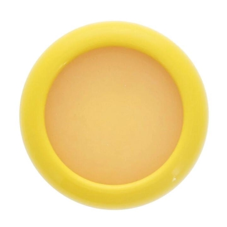 Fresh Stretch Lemon Saver Pod by Joie