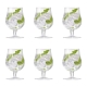 Tulip Glass Set of 6 Size 480ml by Cellar