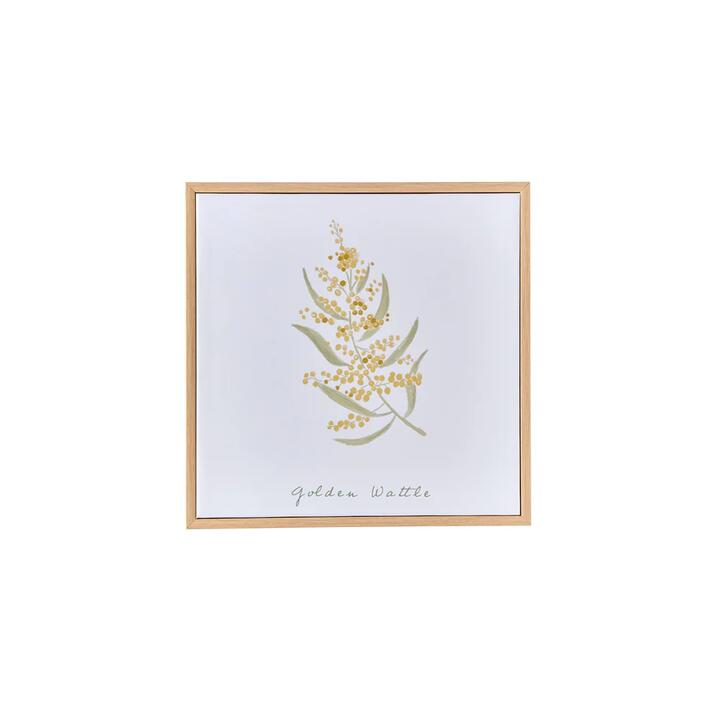 MyHouse Mimi Wall Art Wattle 30x30cm