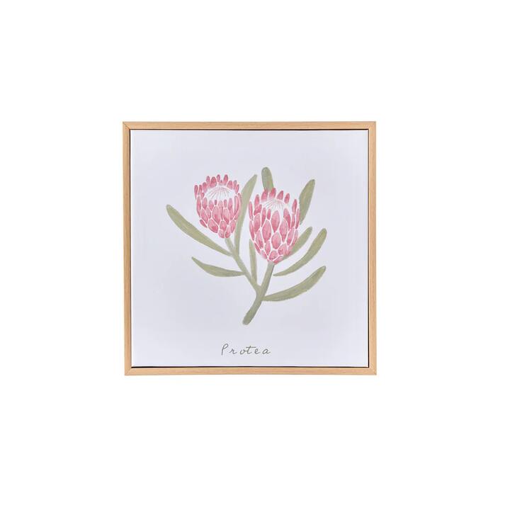 MyHouse Mimi Wall Art Protea 30x30cm