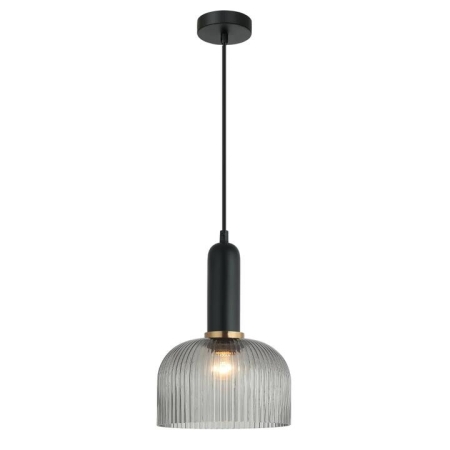 VINTAJ Pendant Lamp Light Interior ES Black Smoky Glass Dome OD200mm
