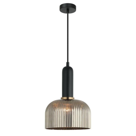 VINTAJ Pendant Lamp Light Interior ES Chrome Glass Dome OD200mm