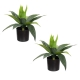 Glamorous Fusion Set Of 2 Small Agave Plant Artificial Faux Plant Decorative In Pot Pink