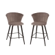HomeStar Set of 2 Calliope Velvet Fabric Modern Kitchen Counter Bar Stool - Grey