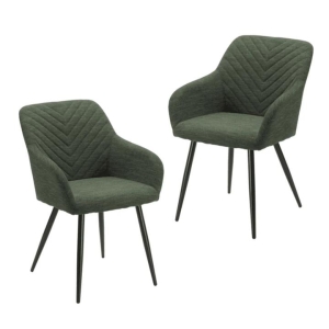 Raimon Furniture Set Of 2 Fari Fabric Dining Chairs Metal Legs - Pistacchio