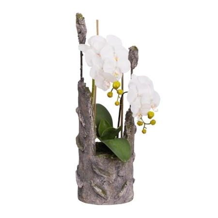 Glamorous Fusion Phalaenopsis Orchid Artificial Plant Flower Arrangement 61cm In Cement - White