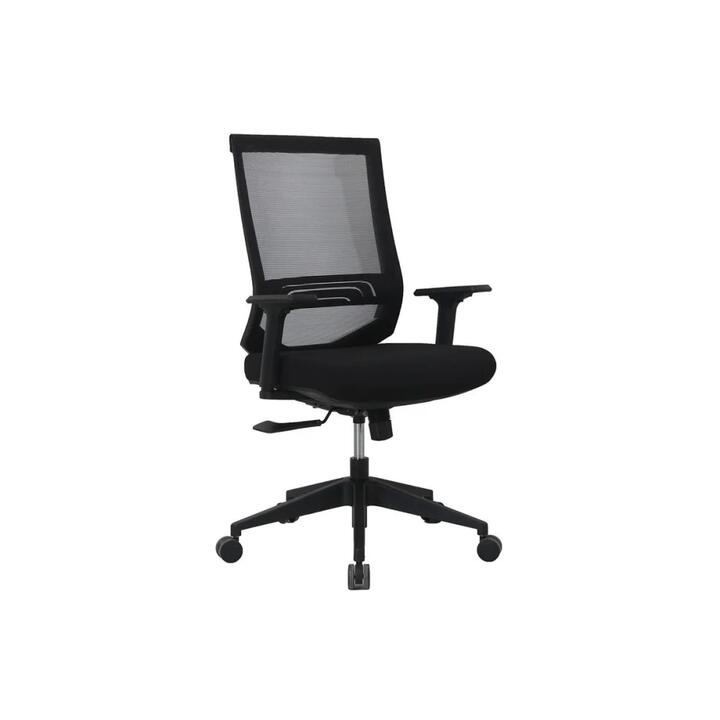 Pisces Mesh Office Computer Work Task Chair