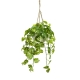 Glamorous Fusion Marble Pothos Artificial Decorative 110cm Hanging Planter W/ Rope - Light Green