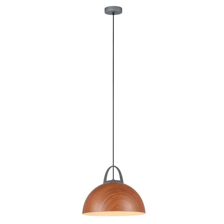 LEGNA Pendant Lamp Light Interior ES Salem Oak Dome OD305mm