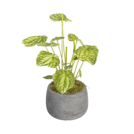 Glamorous Fusion Green Begonia Bush Artificial Faux Plant Decorative 20cm In Pot