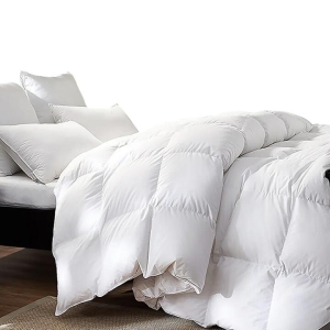 DreamZ 500GSM All Season Goose Down Feather Filling Duvet in Queen Size