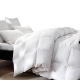 DreamZ 500GSM All Season Goose Down Feather Filling Duvet in Queen Size