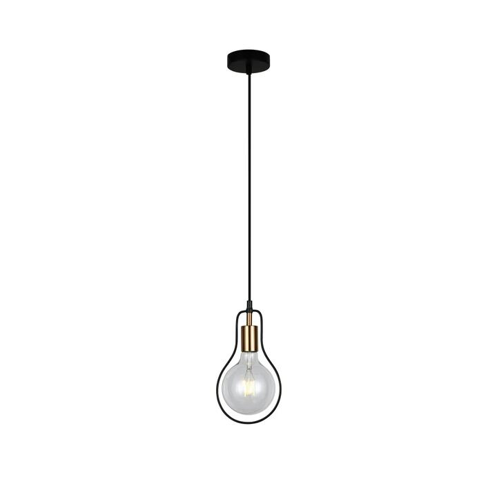 CONTOUR Pendant Lamp Light Interior ES Black Wire Pear with Antique Brass Highlight OD170mm