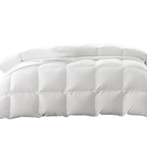 DreamZ Duck Down Feather Quilt 200GSM Duvet Doona Summer Queen Blanket Bed