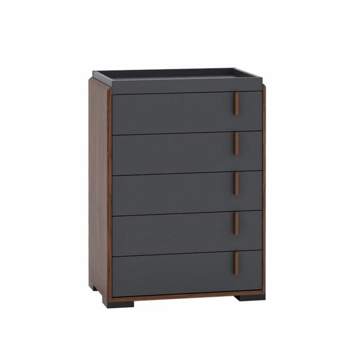 Desmond Chest Of 5-Drawers Tallboy Storage Cabinete - Columbia & Dark Grey