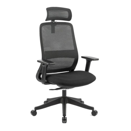 Maestro Furniture Dian High Mesh Back Molded Foam Seat Ergonomic Computer Office Working Chair Black