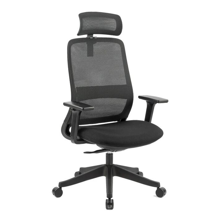Maestro Furniture Dian High Mesh Back Molded Foam Seat Ergonomic Computer Office Working Chair Black