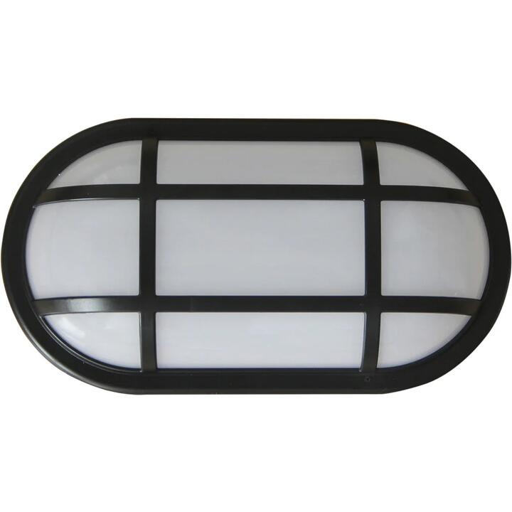 Bulkhead Wall Light Lamp 20W Oval Black 5000K IP65 Optional Cage 1700LM