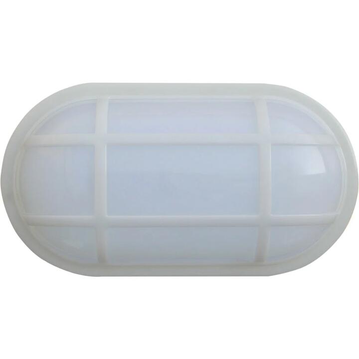 Bulkhead Wall Light Lamp 20W Oval White 5000K IP65 Optional Cage 1700LM