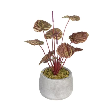 Glamorous Fusion Burgundy Begonia Bush Artificial Faux Plant Decorative 20cm In Pot