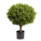 Glamorous Fusion Boxwood Ball 70cm Artificial Faux Plant Tree Decorative In Pot Green