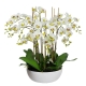 Glamorous Fusion Apple Green Phal Orchid White Artificial Faux Plant Decorative Arrangement In Pot