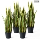 4X 70cm Artificial Indoor Yellow Edge Tiger Piran Fake Decoration Tree Flower Pot Plant