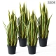 4X 50cm Artificial Indoor Yellow Edge Tiger Piran Fake Decoration Tree Flower Pot Plant