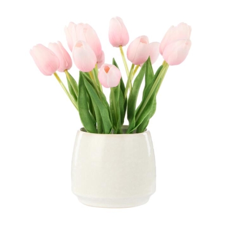Rogue Tulip Bunch Gianna Pot
