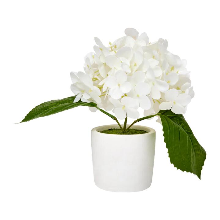 MyHouse Mimi Hydrangea Pot