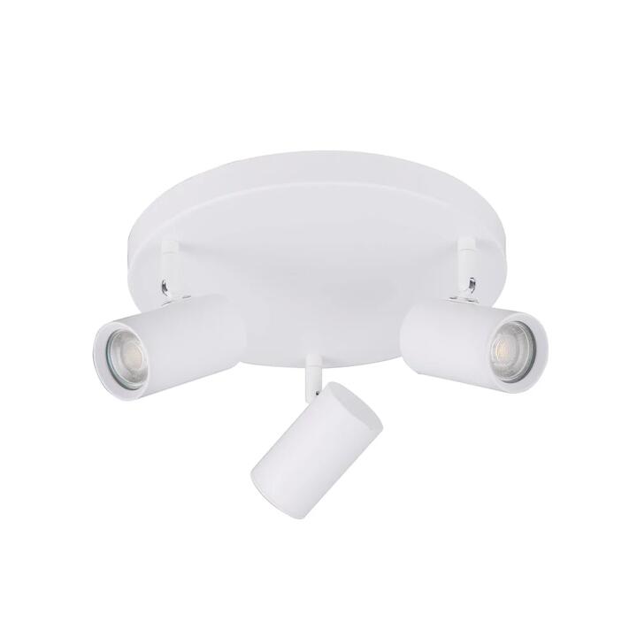 Aster Modern 3-Light Round Flush Ceiling Spot Light Lamp White