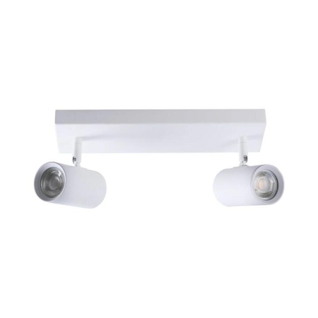 Aster Modern 2-Light Flush Ceiling Spot Track Light Lamp White