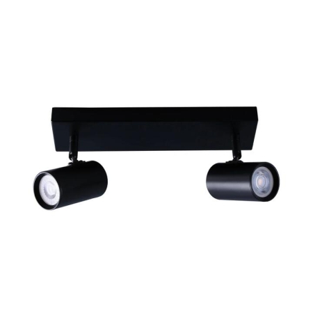 Aster Modern 2-Light Flush Ceiling Spot Track Light Lamp Black
