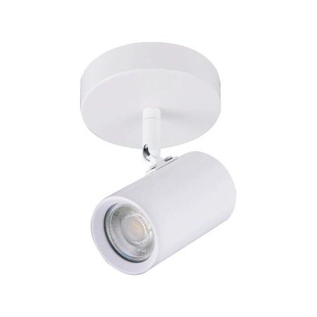 Aster Modern 1-Light Flush Ceiling Spot Light Lamp White