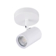 Aster Modern 1-Light Flush Ceiling Spot Light Lamp White