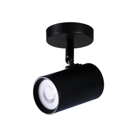 Aster Modern 1-Light Flush Ceiling Spot Light Lamp Black
