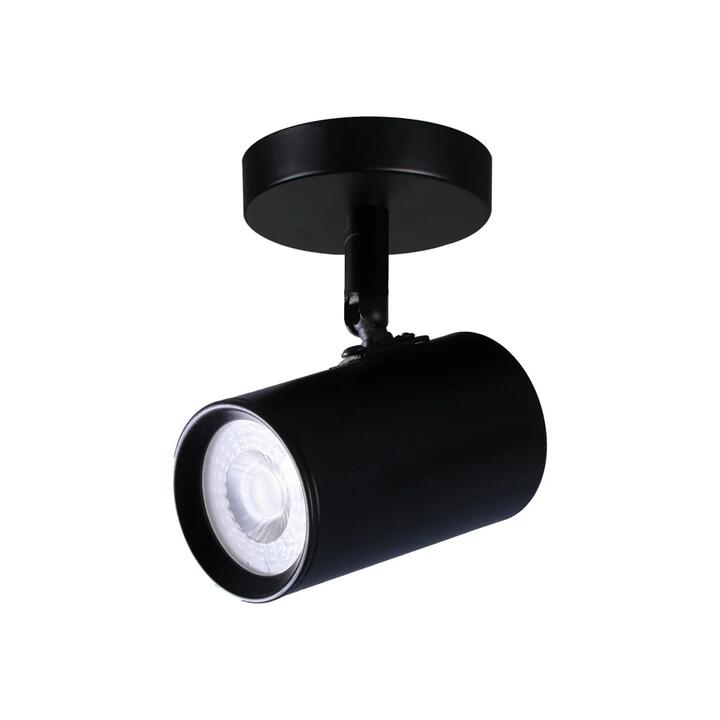 Aster Modern 1-Light Flush Ceiling Spot Light Lamp Black