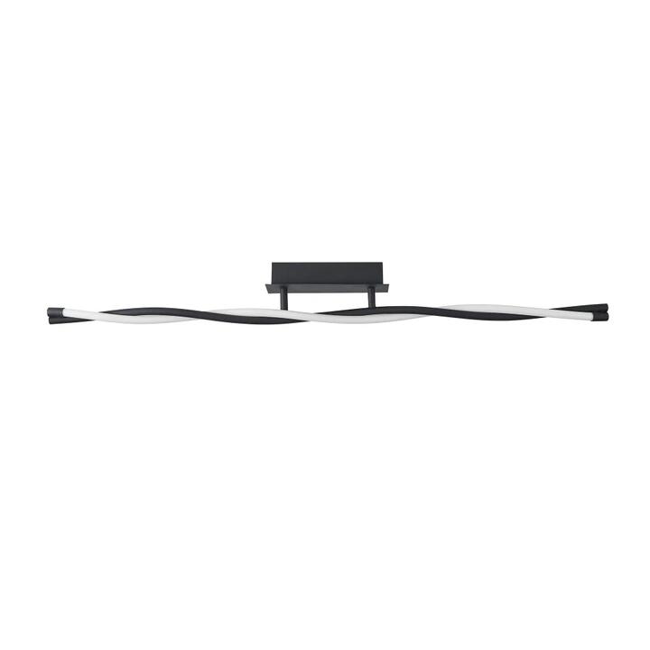 Donna Modern LED Ceiling Lamg Light Black