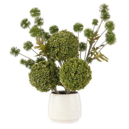 Rogue Allium Pompom Mix Gianna Pot