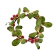 MyHouse Sugar Cherry Wreath