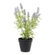 MyHouse Faux Lavender Pot