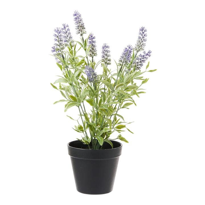 MyHouse Faux Lavender Pot