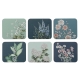 Ashdene Secret Garden Set of 6 Coasters
