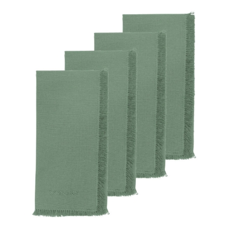 Ecology Fray Set of 4 Napkins Midday