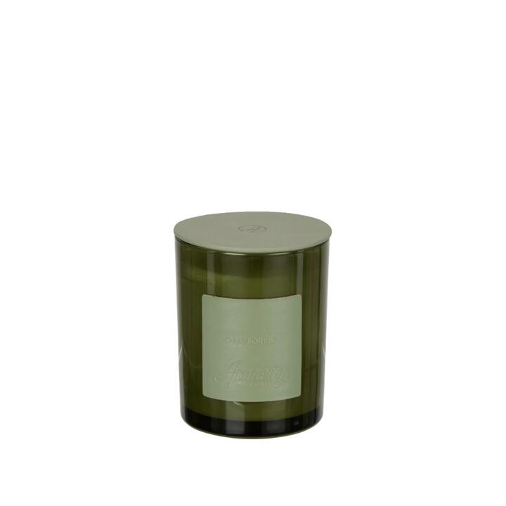 Academy Oak Forest Scented Candle