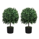 Artificial Boxwood Topiary Ball Trees | 55cm Faux Decorative Greenery for Indoor & Outdoor (Set of 2)