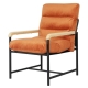 Velvet Accent Lounge Chair | Armchair with Metal Frame & Wood Armrests - Modern