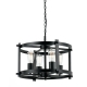Finley Modern Pendant Hanging Lamp Light Metal Black