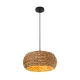 Antera Modern Pendant Hanging Lamp Light Metal Water Hyacinth Natural Natural Matte